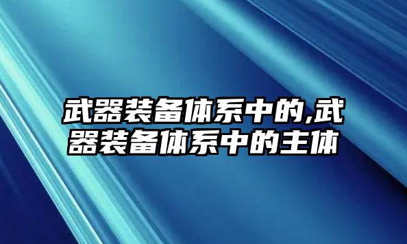 武器裝備體系中的,武器裝備體系中的主體