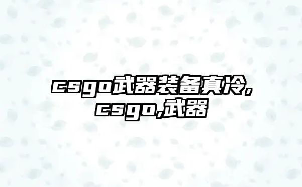 csgo武器裝備真冷,csgo,武器