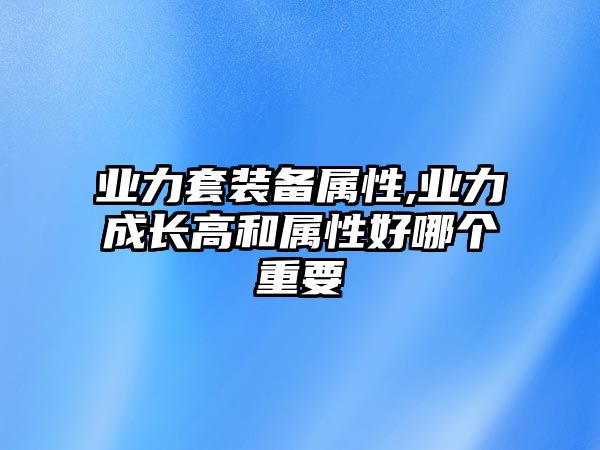 業(yè)力套裝備屬性,業(yè)力成長高和屬性好哪個重要