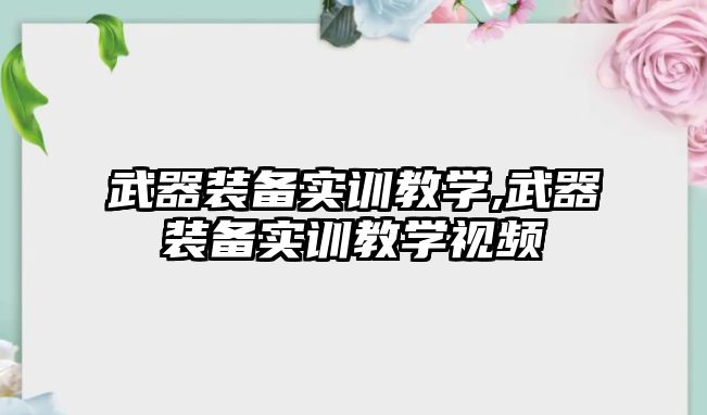 武器裝備實訓教學,武器裝備實訓教學視頻