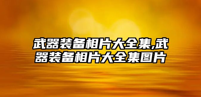 武器裝備相片大全集,武器裝備相片大全集圖片