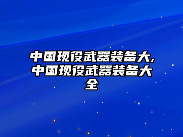 中國現(xiàn)役武器裝備大,中國現(xiàn)役武器裝備大全