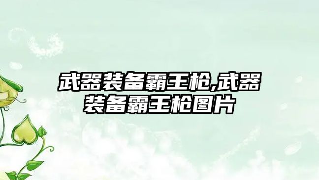 武器裝備霸王槍,武器裝備霸王槍圖片