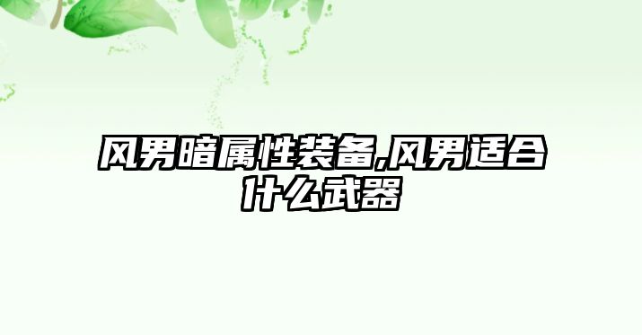 風男暗屬性裝備,風男適合什么武器