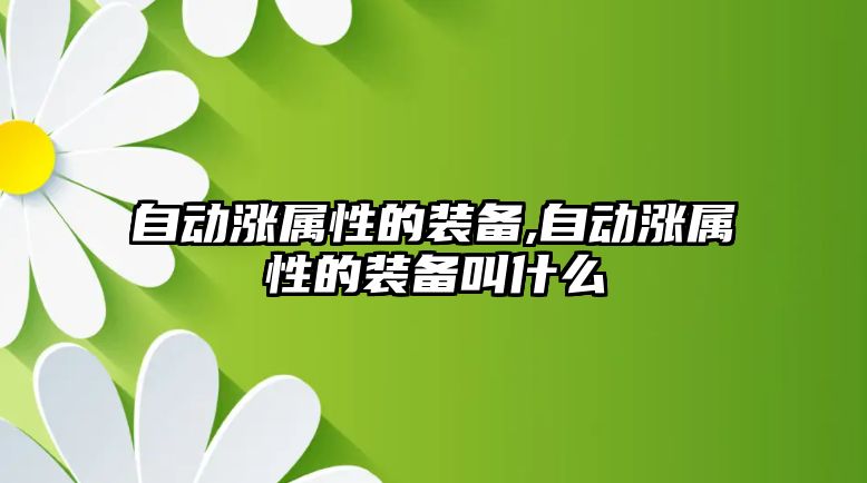 自動漲屬性的裝備,自動漲屬性的裝備叫什么