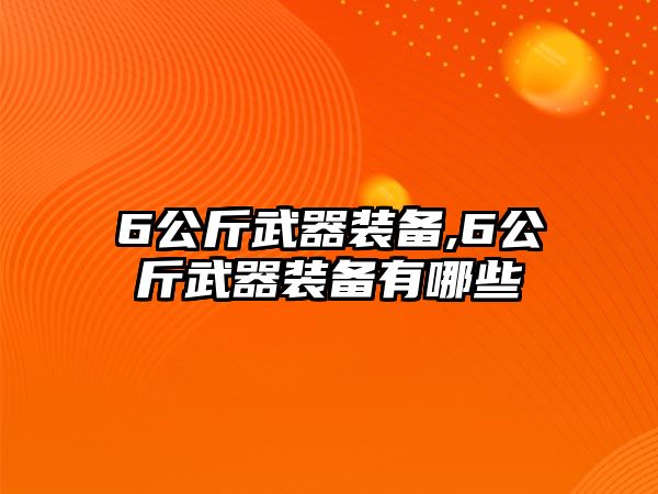 6公斤武器裝備,6公斤武器裝備有哪些