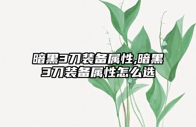 暗黑3刀裝備屬性,暗黑3刀裝備屬性怎么選