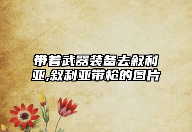 帶著武器裝備去敘利亞,敘利亞帶槍的圖片