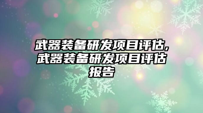 武器裝備研發項目評估,武器裝備研發項目評估報告