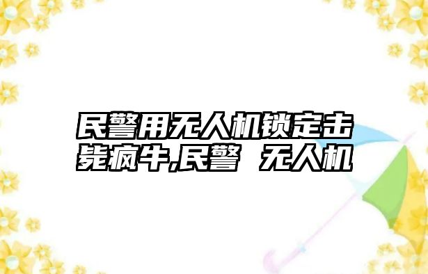 民警用無人機鎖定擊斃瘋牛,民警 無人機