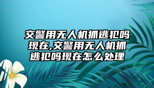 交警用無人機抓逃犯嗎現在,交警用無人機抓逃犯嗎現在怎么處理