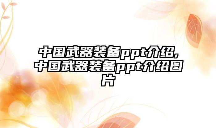 中國武器裝備ppt介紹,中國武器裝備ppt介紹圖片