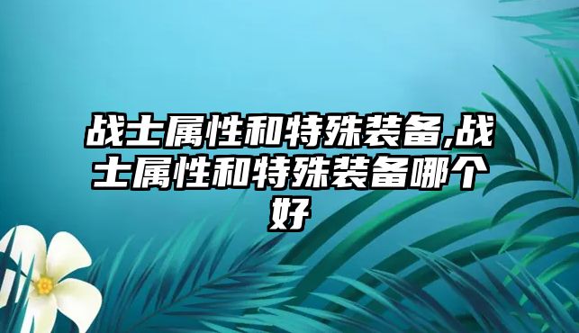 戰士屬性和特殊裝備,戰士屬性和特殊裝備哪個好