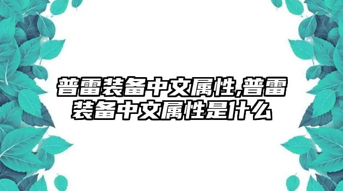 普雷裝備中文屬性,普雷裝備中文屬性是什么